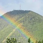 Art In Waldfrieden
