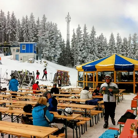 Art In Waldfrieden Διαμέρισμα Semmering