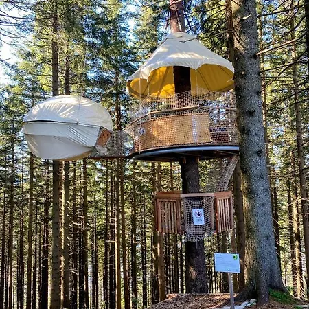 Appartement Art In Waldfrieden