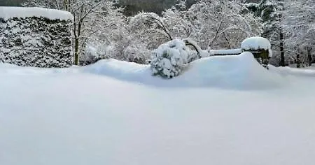 Διαμέρισμα Art In Waldfrieden *