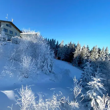 Art In Waldfrieden *