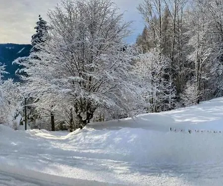 Διαμέρισμα Art In Waldfrieden *