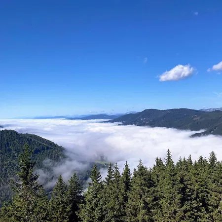 Art In Waldfrieden Appartement *