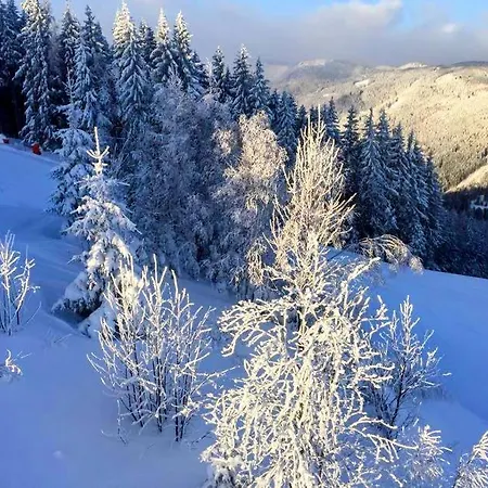 Art In Waldfrieden Appartement *
