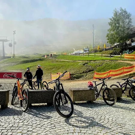 Art In Waldfrieden *