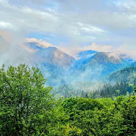 Art In Waldfrieden *