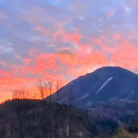 Appartement Art In Waldfrieden *