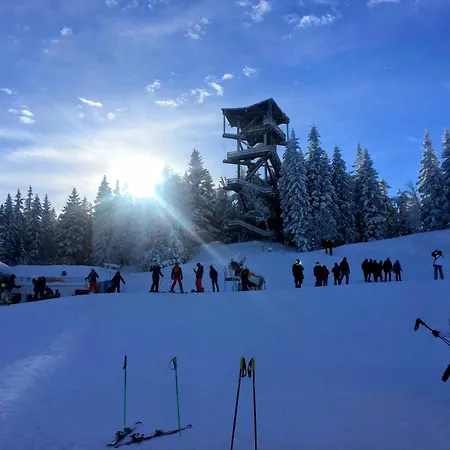 Art In Waldfrieden * Semmering