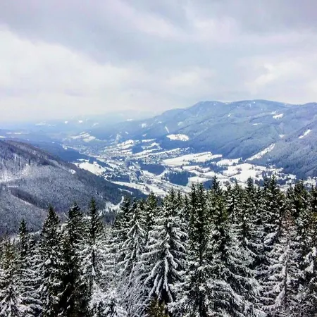 Art In Waldfrieden 公寓