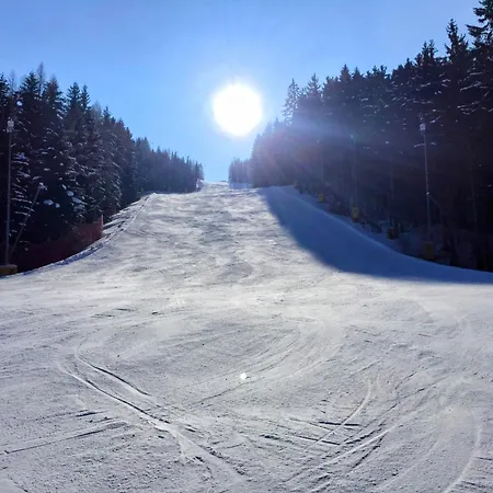 Art In Waldfrieden Appartement