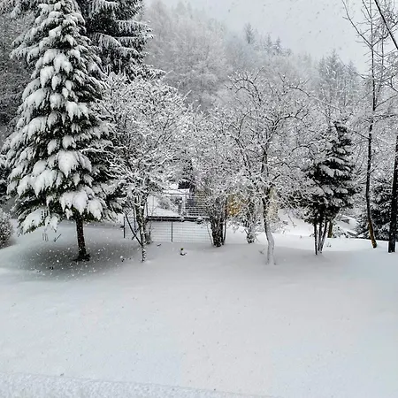 Art In Waldfrieden *