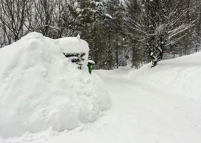 דירה Art In Waldfrieden סמרינג