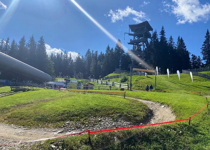 Art In Waldfrieden *