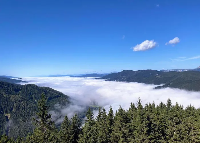 Art In Waldfrieden Διαμέρισμα *