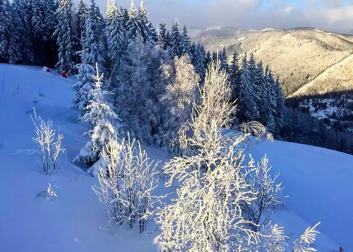 Art In Waldfrieden Διαμέρισμα *