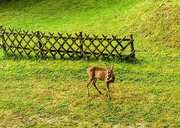 Art In Waldfrieden Διαμέρισμα *