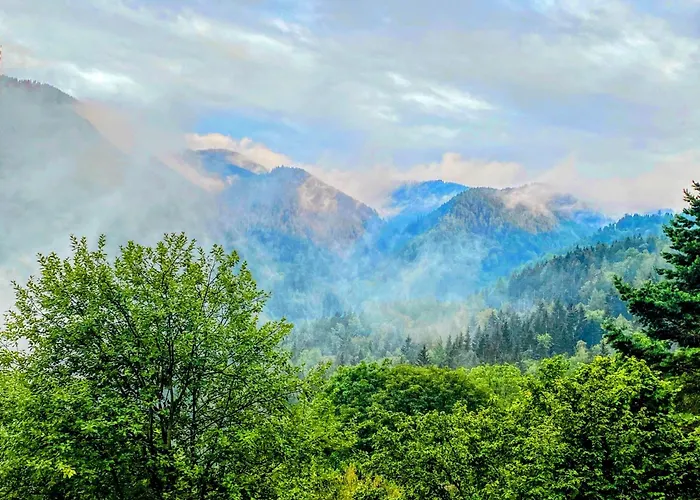 Art In Waldfrieden *