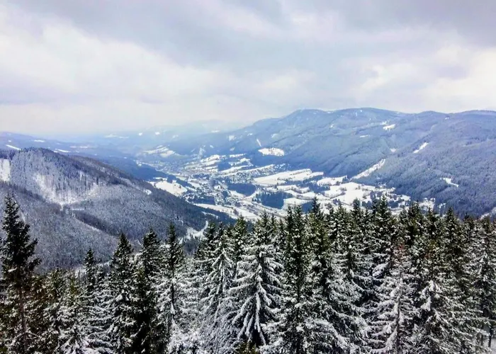 Art In Waldfrieden דירה