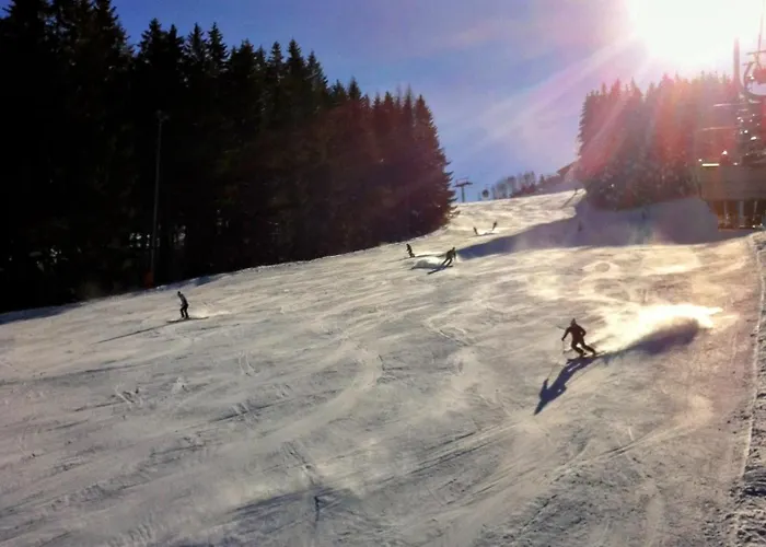 Art In Waldfrieden Semmering