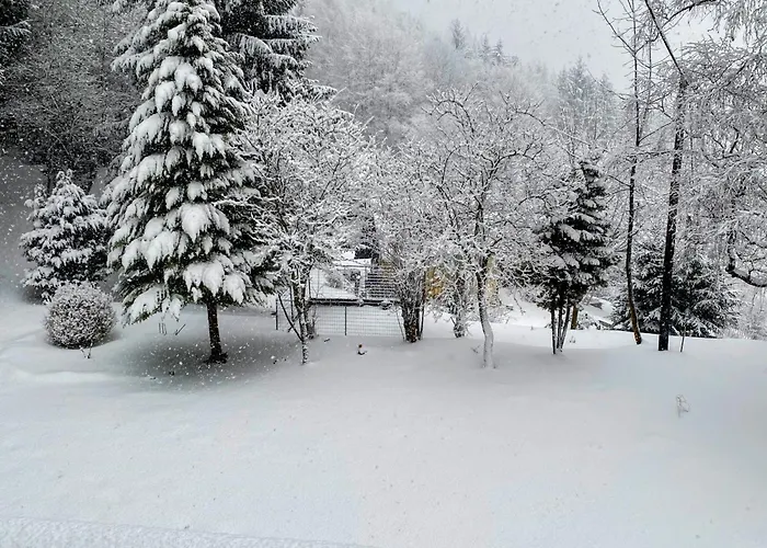 Art In Waldfrieden *